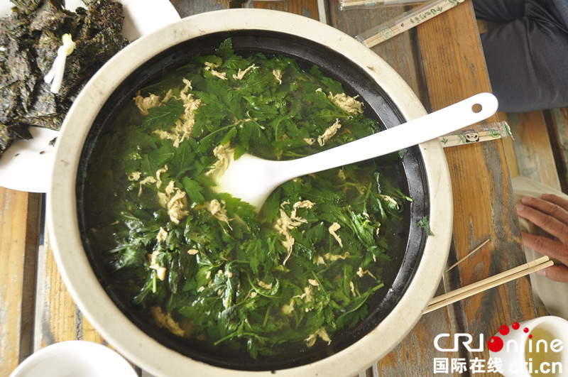 平度老人王洪启引种野菜菊花脑主打养生牌 平度老人王洪启引种野菜菊花脑主打养生牌_fororder_菊花脑滋补汤_副本