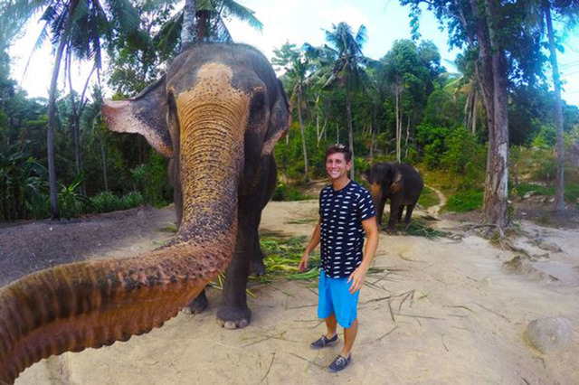 泰國大象用鼻子操作相機 和遊客玩自拍