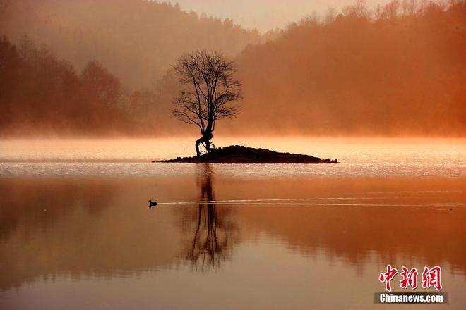 图片默认标题_fororder_anhui1