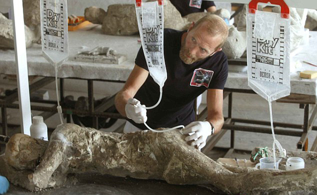 庞贝末日遇难者遗骸被复原 惊恐表情震撼世人 庞贝末日遇难者遗骸被复原 惊恐表情震撼世人