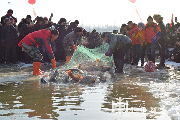 桦南县开展冰雪旅游系列活动 冬捕节现场捕鱼1万斤