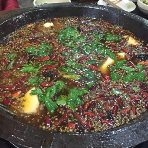 【食在重庆标题摘要】重庆花式吃鱼地图 拯救你的胃口
