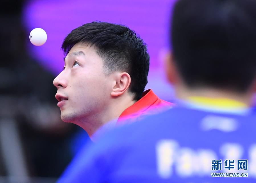 乒乓球男子世界杯：樊振东夺冠 马龙获亚军