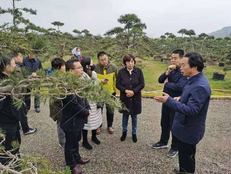 西寧市林業和草原局走進西安藍田縣考察白皮松産業發展及苗木市場情況