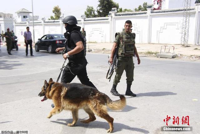 突尼斯軍營槍擊致人員傷亡 當局稱非恐怖襲擊