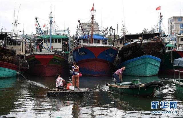 “天鴿”過後 瓊海漁民恢復生産