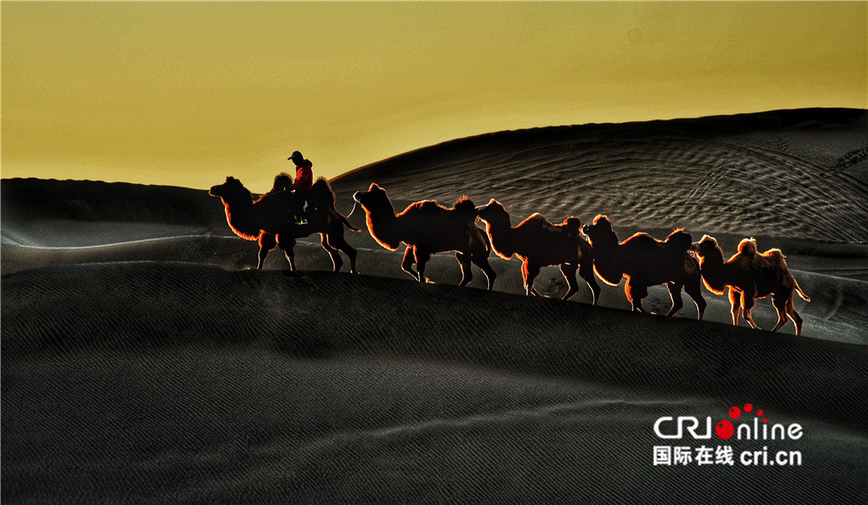 图片默认标题_fororder_1