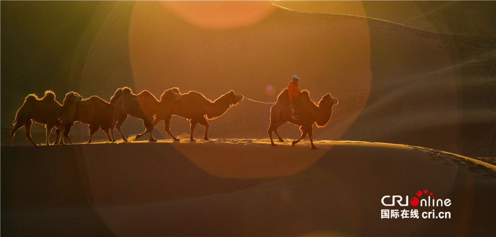 图片默认标题_fororder_2