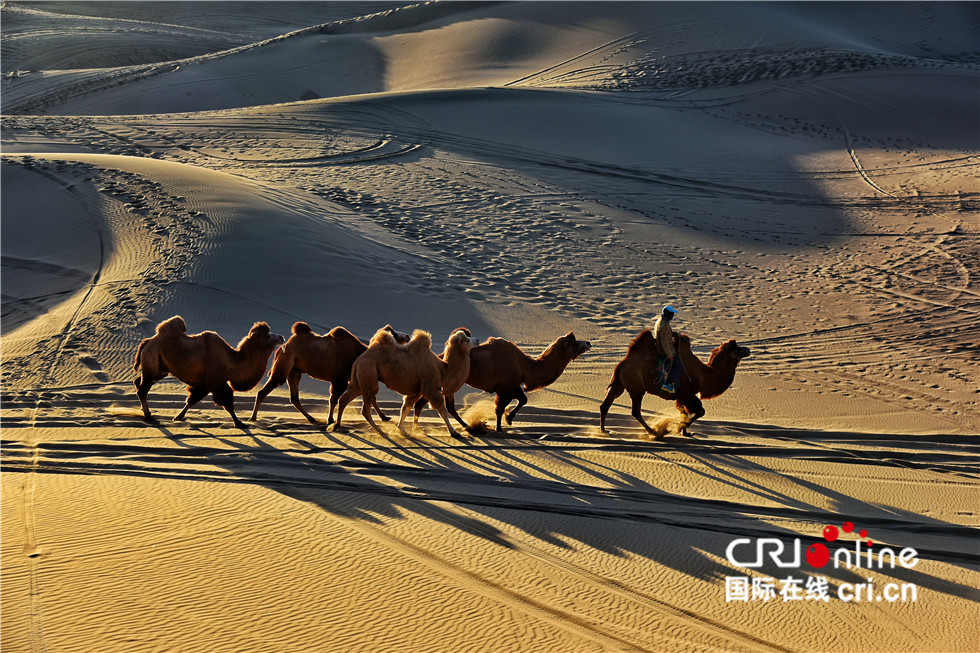 图片默认标题_fororder_3