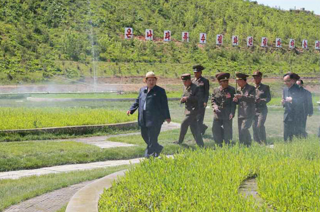 金正恩视察综合种苗场施工现场 其妹时隔47天再露面