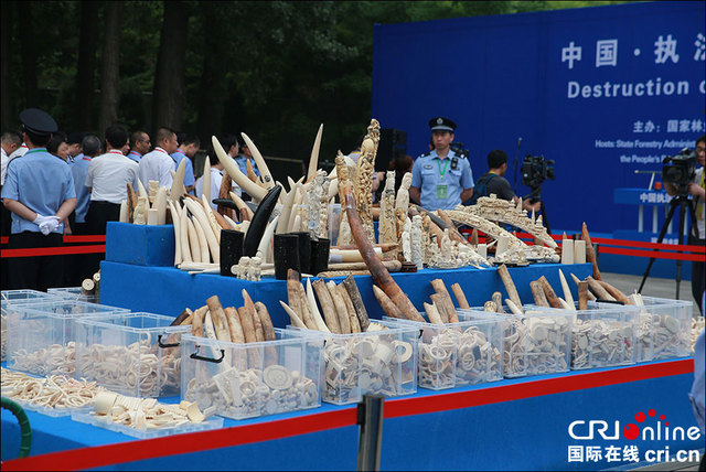 中国公开销毁数百公斤执法查没象牙制品