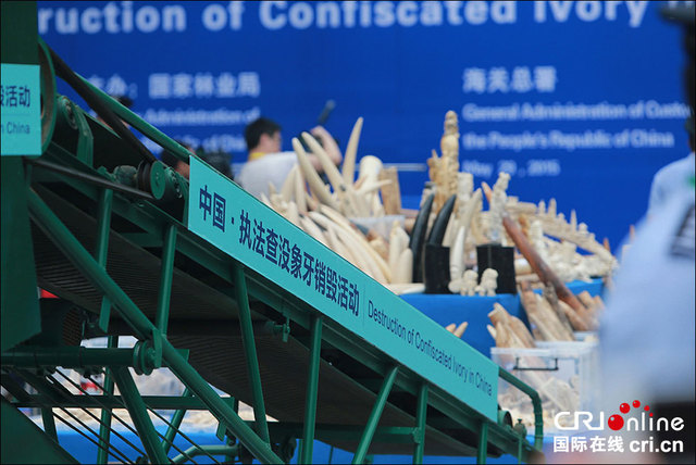 中国公开销毁数百公斤执法查没象牙制品
