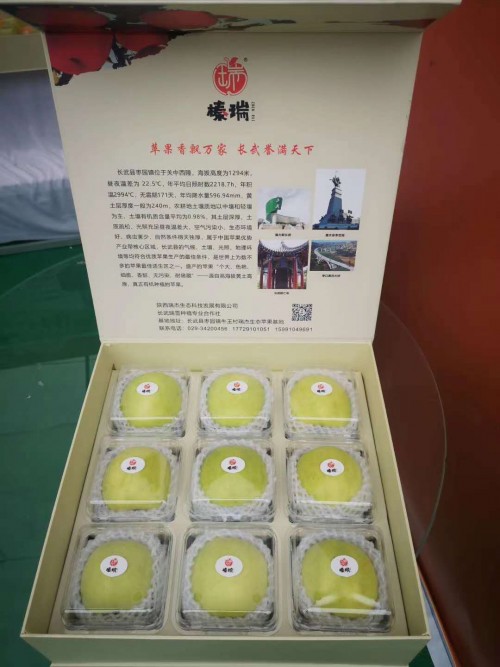 果业扶贫先进企业——陕西瑞杰生态科技发展有限公司