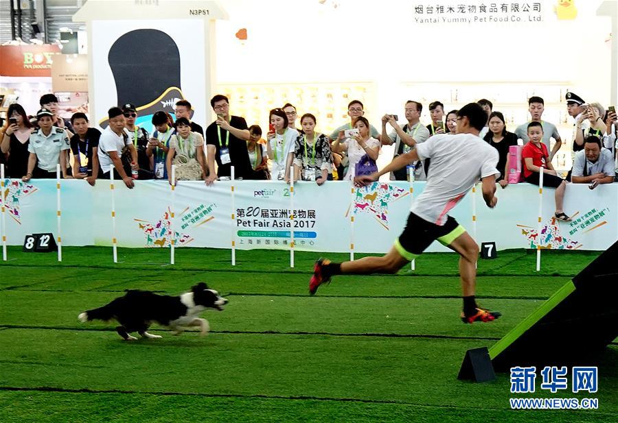 第20屆亞洲寵物展在上海開幕