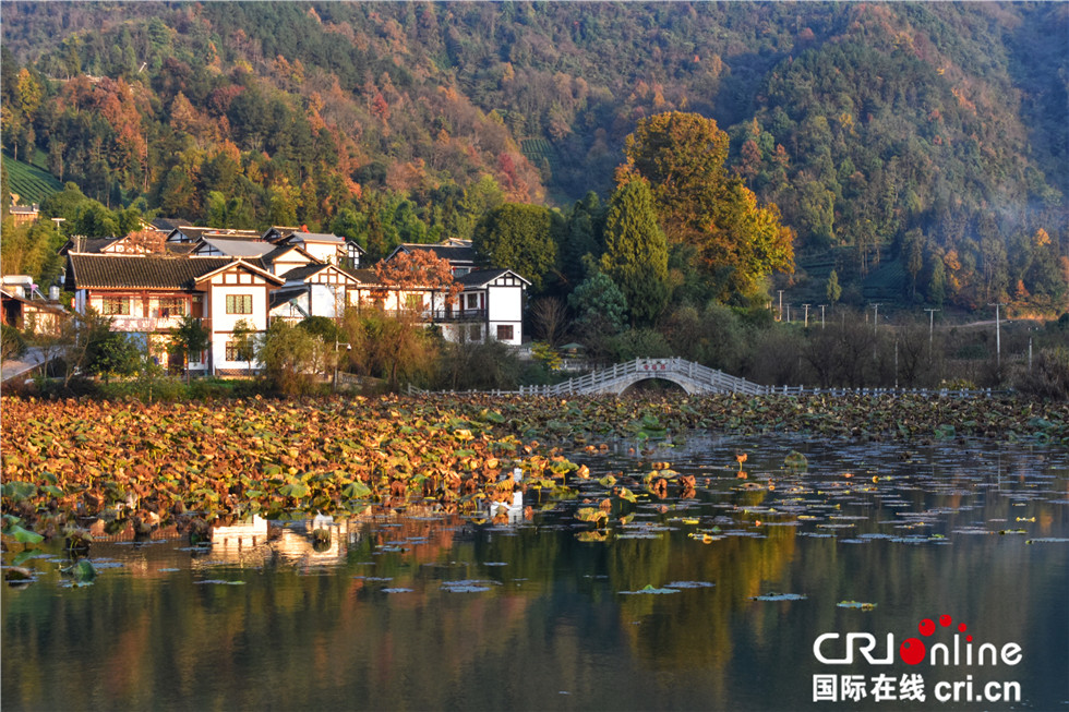 图片默认标题_fororder_Four Flowers in the Lake