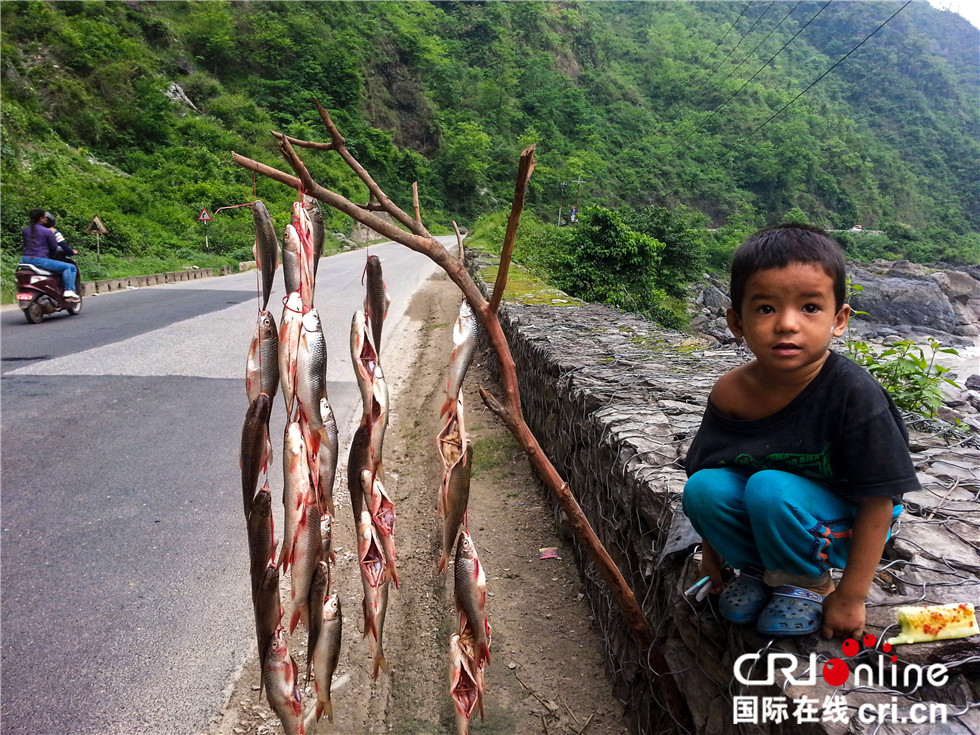 图片默认标题_fororder_00829