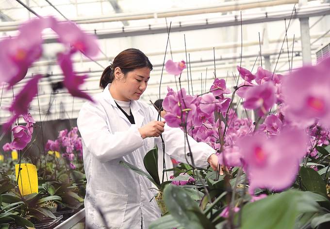 江蘇省濱海現代農業産業園區在農業科技等方面持續發力