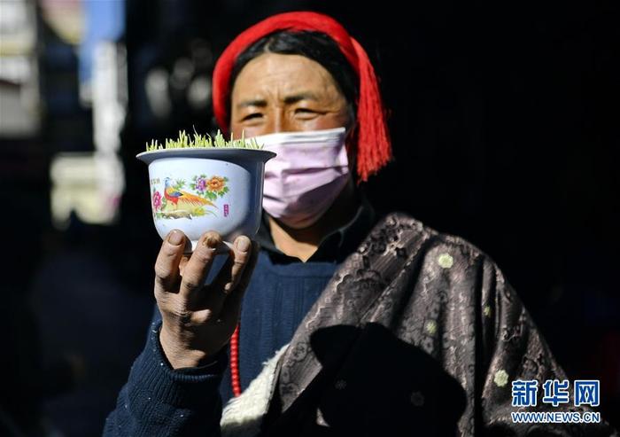 图片默认标题_fororder_1125576573_15816978276691n