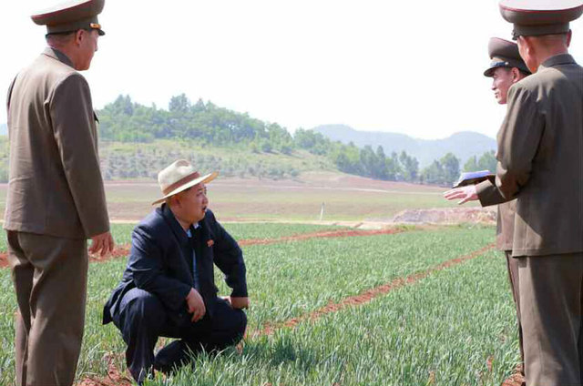 金正恩戴草帽視察田間地頭 支持建現代化溫室