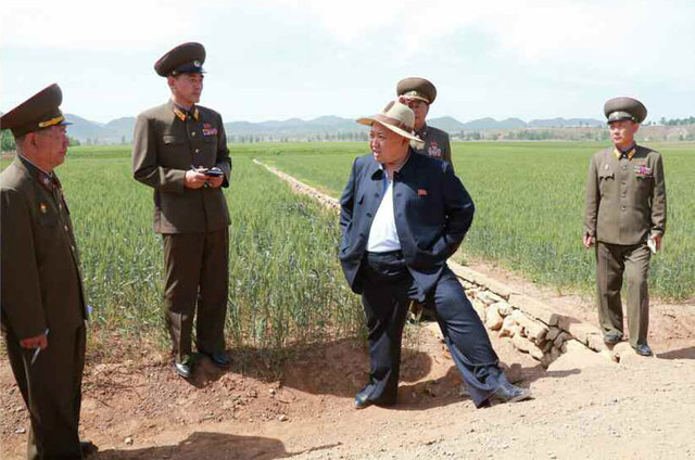 金正恩戴草帽視察田間地頭 支持建現代化溫室