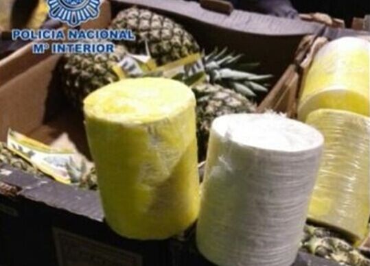 西班牙警方在数千个菠萝中查获约200公斤毒品