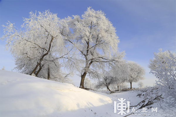 中俄界江黑龍江呼瑪段江畔現唯美霧凇美景