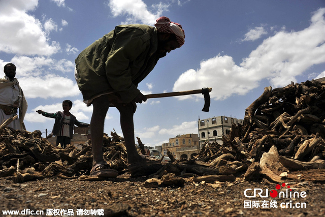 沙特空袭威胁也门石油供给 当地人无奈拾柴做饭