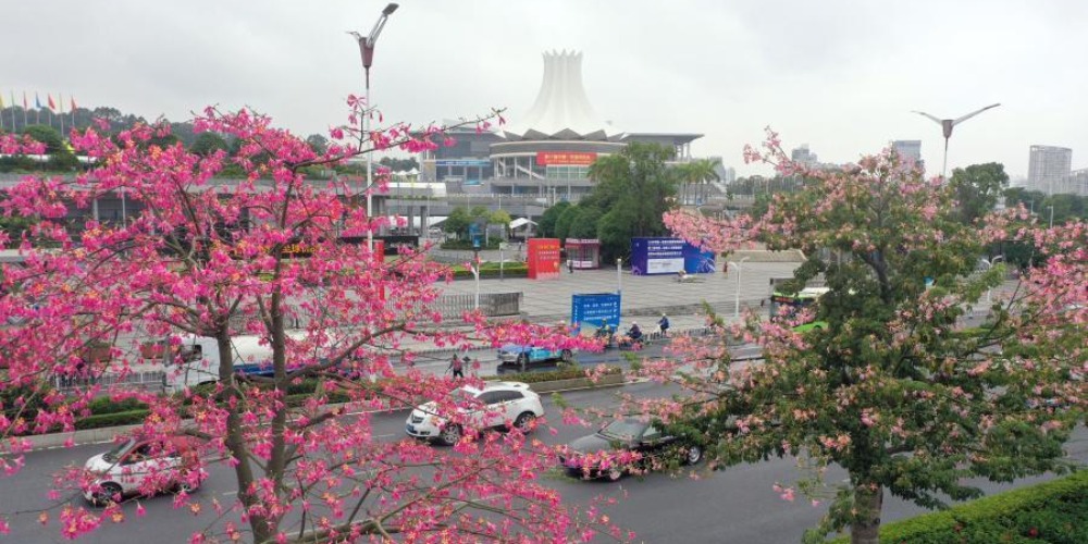 广西南宁：花开迎盛会