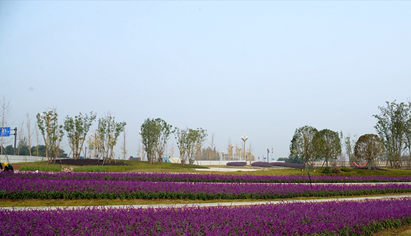 成都金堂北河宜居水岸项目有序推进预计2020年底对市民开放