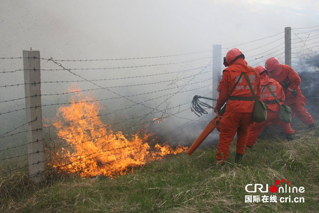 蒙古国草原火跨越边境 森林官兵全力阻截