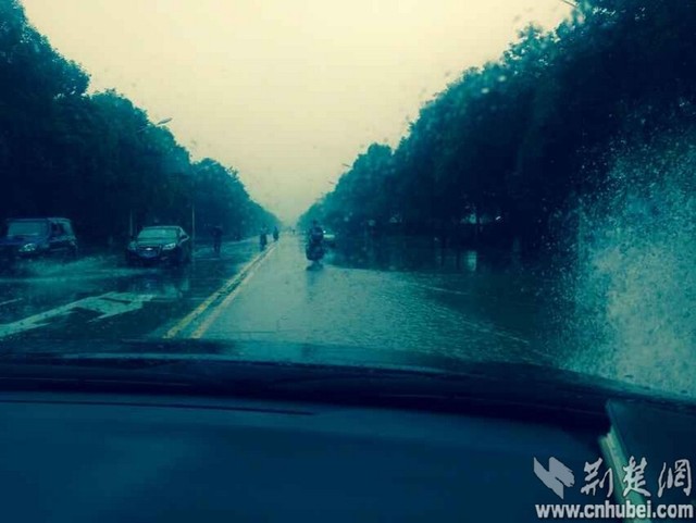 "东方之星"游轮在长江湖北监利段翻沉 县城积水严重