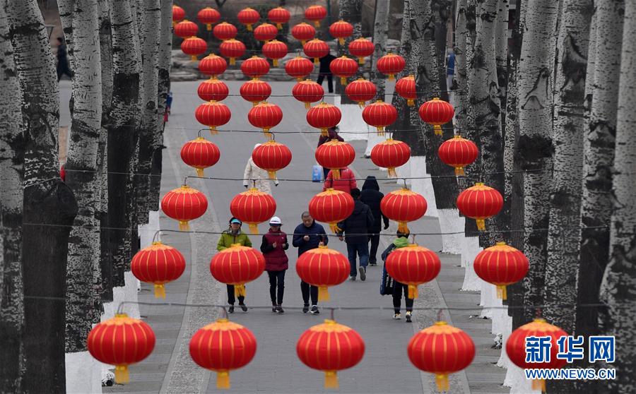 北京玉渊潭公园“年韵”迎春