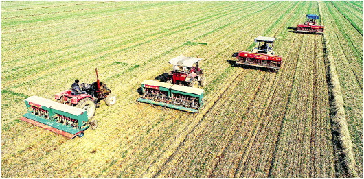 山东省各地不误农时 战“疫”不松劲春耕备耕忙