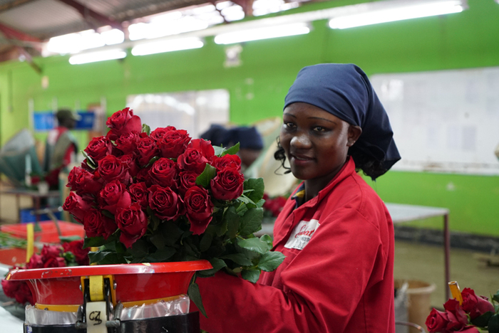 수입박람회 뒷 이야기, 중국 '쇼핑카트' 겨냥한 케냐 농산물
