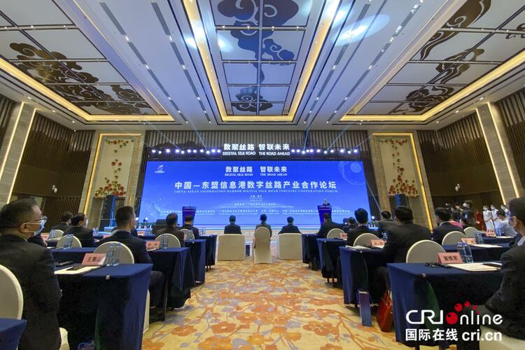 2020中国—东盟信息港数字丝路产业合作论坛在南宁举办