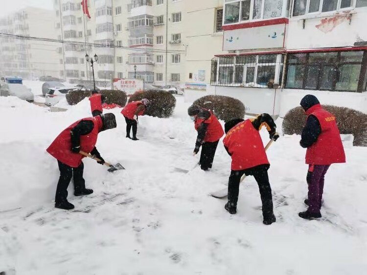 哈尔滨市平房区凝聚各方力量  共同奋战今冬首场大规模降雪
