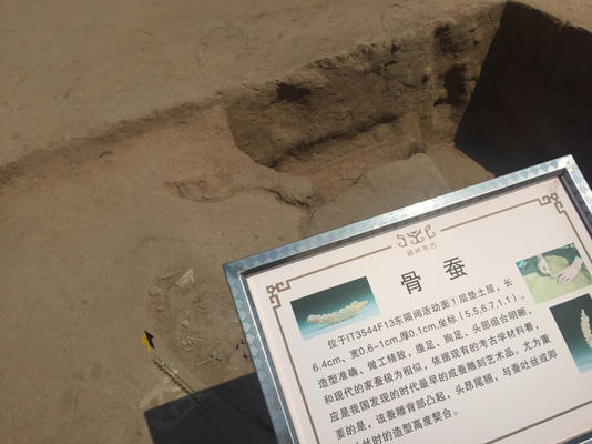 【轮播图】中国最早蚕雕艺术品在这里出土