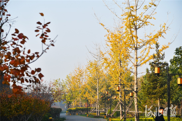 河北正定：古城初冬美如画