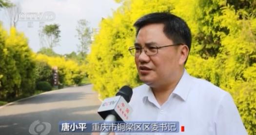 焦点访谈丨康庄大道长啥样？来铜梁西郊绿道看看