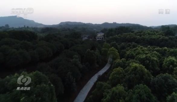 焦点访谈丨康庄大道长啥样？来铜梁西郊绿道看看