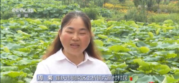 焦点访谈丨康庄大道长啥样？来铜梁西郊绿道看看