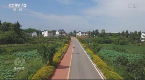 焦点访谈丨康庄大道长啥样？来铜梁西郊绿道看看