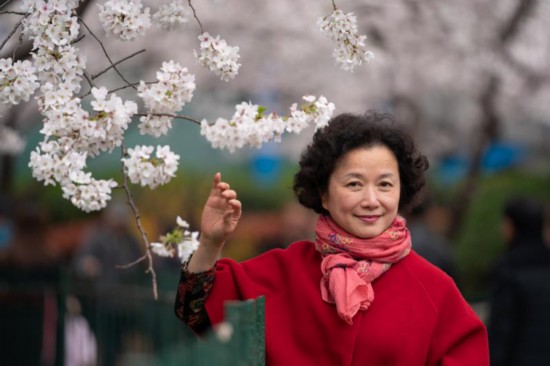 申城“最美地鐵口”櫻花報春