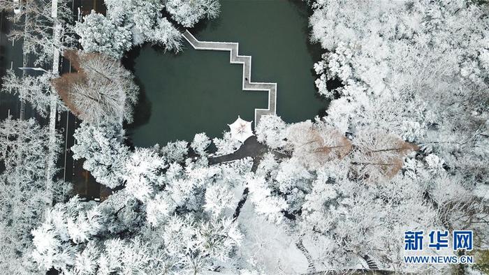 图片默认标题_fororder_22