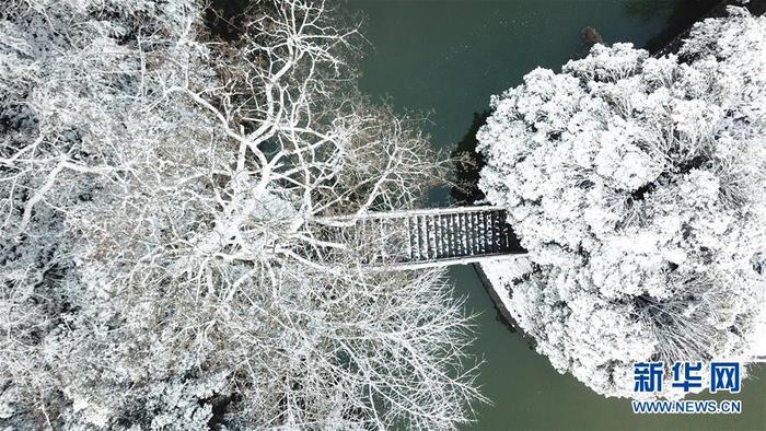 图片默认标题_fororder_33