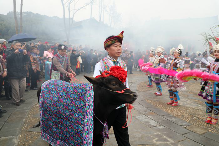 柳州融水： 紅紅火火過苗年 歡歡喜喜鬧新春