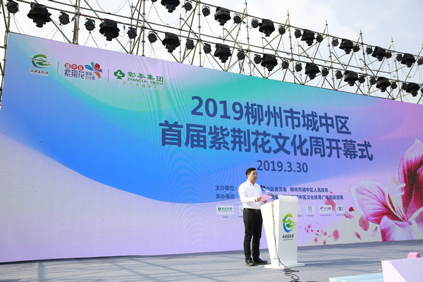 2019柳州市城中区首届紫荆花文化周掀起市民赏花游玩热潮