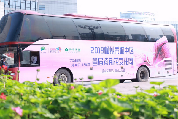 2019柳州市城中区首届紫荆花文化周掀起市民赏花游玩热潮