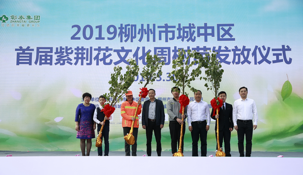 2019柳州市城中区首届紫荆花文化周掀起市民赏花游玩热潮