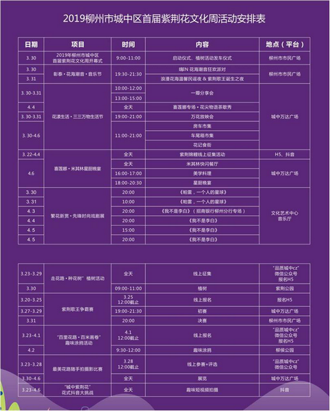 2019柳州市城中区首届紫荆花文化周掀起市民赏花游玩热潮